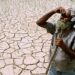 छत्तीसगढ़ में मंडराया El Nino का खतरा? किसानों को नुकसान से बचाने साय सरकार ने शुरू की तैयारी