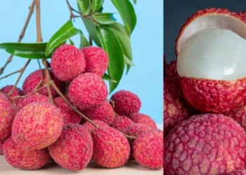 इन लोगों के लिए हानिकारक है लीची का सेवन, आज ही बना लें इससे दूरी