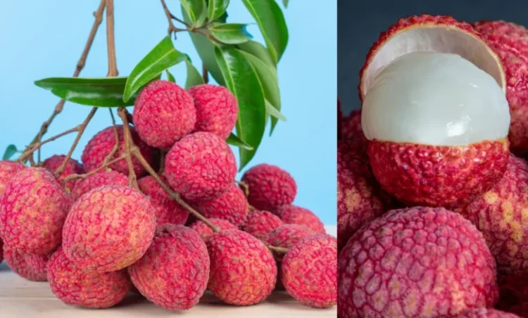 इन लोगों के लिए हानिकारक है लीची का सेवन, आज ही बना लें इससे दूरी