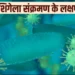 इस राज्य में फेल रहा है शिगेला संक्रमण का प्रकोप: बच्चों में बढ़ते मामले, अब तक इतने की मौत की पुष्टि