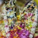 निर्जला एकादशी पर रहेगा भद्रा का साया, जान लें स्नान-दान, पूजन का उत्तम मुहूर्त