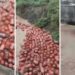 बाढ़ का कहर! भारी बारिश में बह गए 3000 गैस सिलेंडर, प्रशासन ने जारी किया अलर्ट