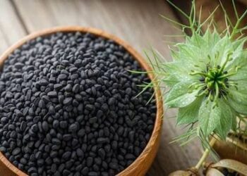 रोज सुबह 1 चम्मच कलौंजी खाने से शरीर में क्या होता है? जान लें फायदे
