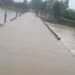मानसून का रौद्र रूप जारी; रायपुर समेत कई जिलों में भारी बारिश का अलर्ट, 8 जुलाई के बाद मिलेगी राहत