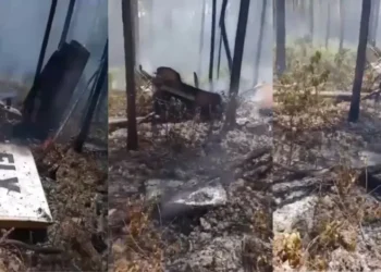 उड़ान भरते ही विमान क्रैश, आग का गोला बनी फ्लाइट, हादसे में सभी यात्रियों की मौत