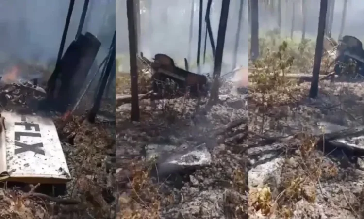 उड़ान भरते ही विमान क्रैश, आग का गोला बनी फ्लाइट, हादसे में सभी यात्रियों की मौत