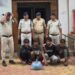 छत्तीसगढ़ पुलिस की बड़ी कार्रवाई; गांजा और नशीली दवा की सप्लाई करने वाले 7 तस्कर गिरफ्तार