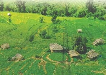 विशेष लेख : छत्तीसगढ़ भू-राजस्व संहिता में सुधार: सुशासन, डिजिटलीकरण और जन-राहत का नया  सवेरा