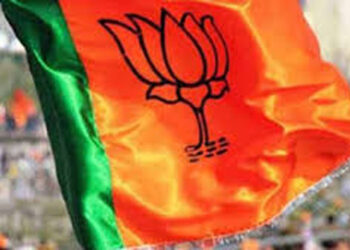 BJP नितिन नबीन की नई टीम का ऐलान, छत्तीसगढ़ की ये सांसद बनी भाजपा महिला मोर्चा की राष्ट्रीय अध्यक्ष