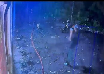 गेरवानी शराब दुकान में पिस्टलनुमा हथियार से फायरिंग, प्रायवेट गार्ड घायल — पूंजीपथरा पुलिस ने हत्या के प्रयास का मामला दर्ज कर शुरू की आरोपी की तलाश