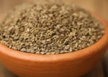 गैस-एसिडिटी से लेकर इन समस्याओं तक, अजवाइन के हैं गजब के फायदे
