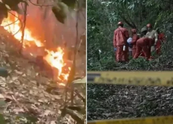 बड़ा हादसा; उड़ान भरते ही दुर्घटनाग्रस्त हुआ हेलीकॉप्टर, पायलट समेत सभी सवारियों की गई जान