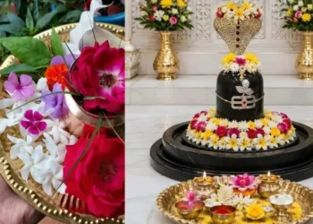 सावन में महादेव को अर्पित करें ये खास फूल, पूरी होंगी हर मनोकामनाएं और मिलेगा आशीर्वाद