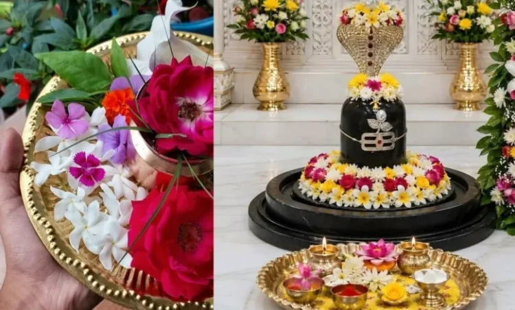 सावन में महादेव को अर्पित करें ये खास फूल, पूरी होंगी हर मनोकामनाएं और मिलेगा आशीर्वाद